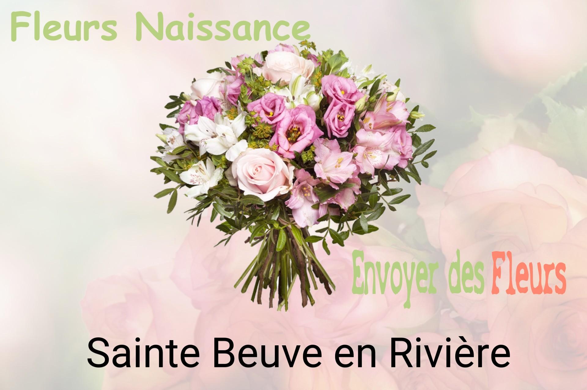 Bouquet de fleurs de naissance livré à Sainte-Beuve-en-Rivière